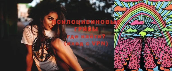 ешки Алексин
