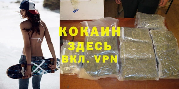 ешки Алексин
