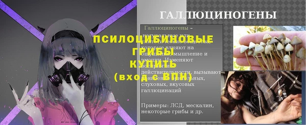 ешки Алексин