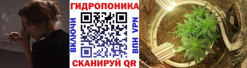 хочу Гаджиево Канабис планчик